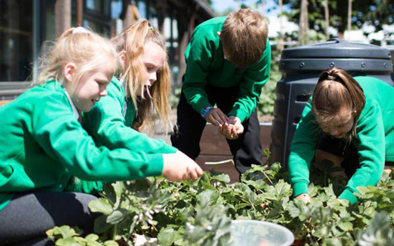 Springfield Junior School